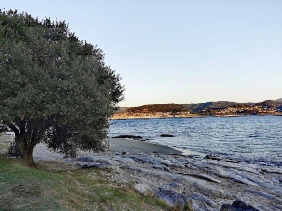 Apartamento Con Jardin Y Piscina Temporada Verano Privados Samieira Extérieur photo