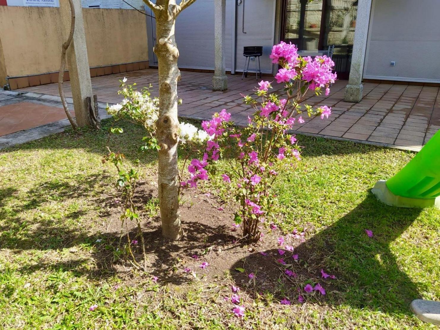 Apartamento Con Jardin Y Piscina Temporada Verano Privados Samieira Extérieur photo
